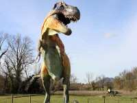 I dinosauri al Parco Le Pietre del Drago