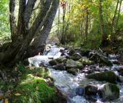 cascate-del-verde-ruscelli