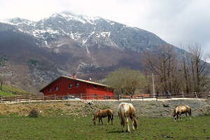 vista dell'Agriturismo Podere Morgana