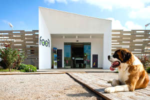 Entrata del Foof-Museo del Cane