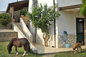 Uno di casali dell'agriturismo Le Tore