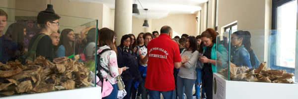 visite al museo del suolo a Pertosa