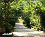 parco_del_grassano_viale