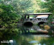 parco_del_grassano_vista