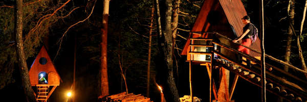 Notte sugli alberi al Tree Village