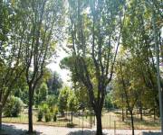 casa_vacanze_casina_degli_aranci_parco