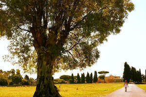 I sentieri ciclabili del Parco dell'Appia Antica