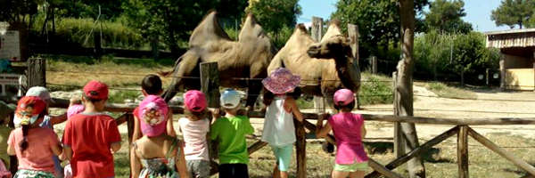 Le visite guidate al Parco Zoo Falconara
