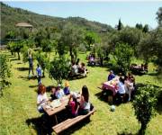 gole-di-alcantara--area-pic-nic