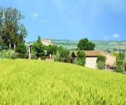 agriturismo_vacanze_ideali_tenuta_badia_prati